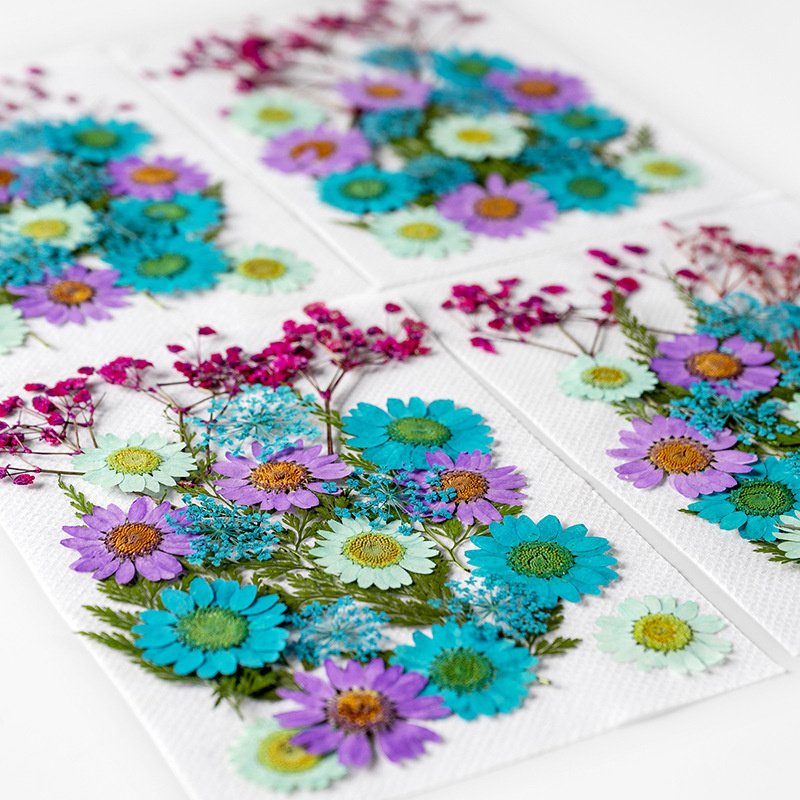 Natural Flower DIY Nail Phonecase Handmade Gift Pressed Dried Flowers for Resin