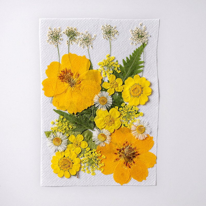 Natural Flower DIY Nail Phonecase Handmade Gift Pressed Dried Flowers for Resin
