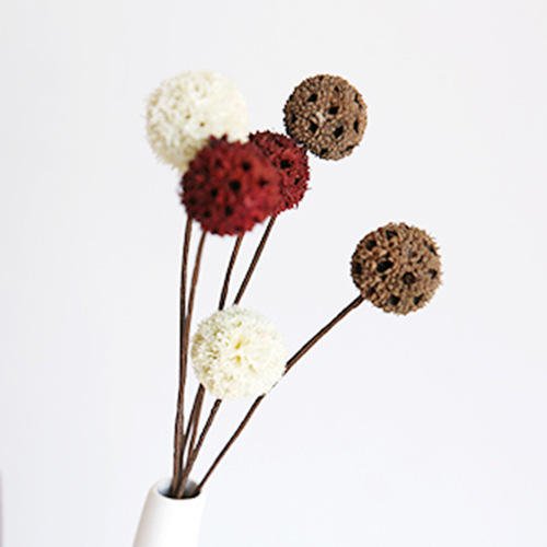 Home decoration ornaments dried natural flowers maple fruits passepartout eternal dry flowers
