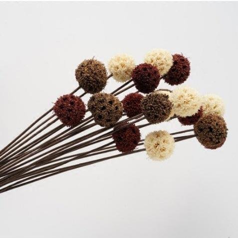 Home decoration ornaments dried natural flowers maple fruits passepartout eternal dry flowers