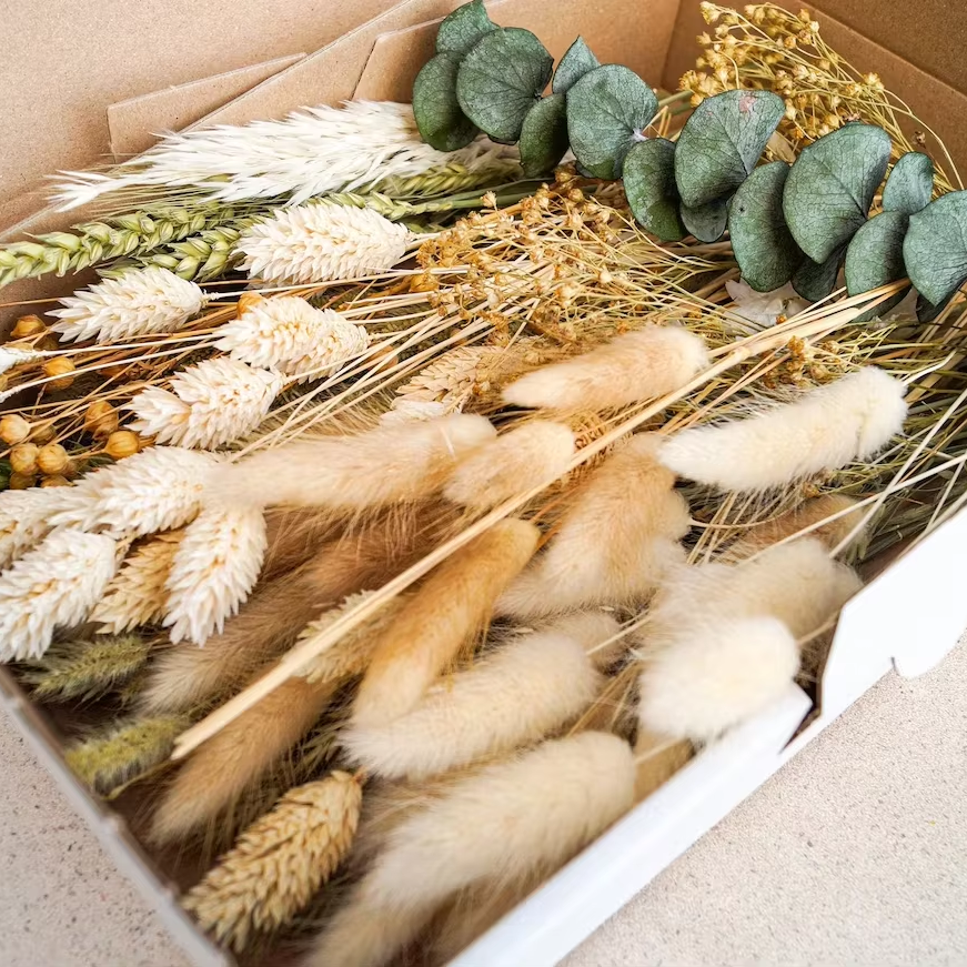 Dry Pampas Grass Flower Material Interior Decor Bouquet Natural Boho Wedding Arrangement Bridal Bouquet Mini Dried Flowers