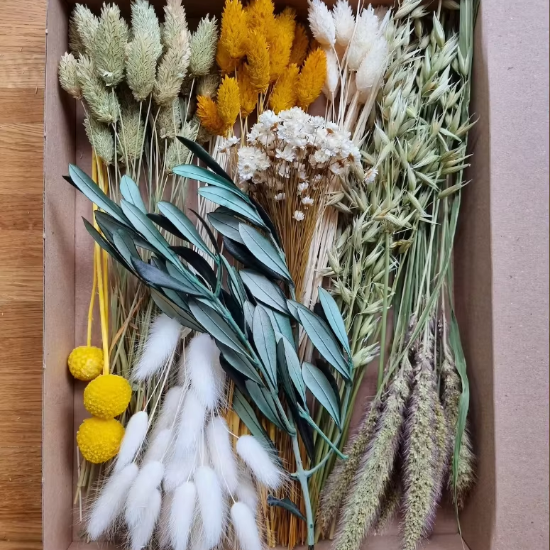 Dry Pampas Grass Flower Material Interior Decor Bouquet Natural Boho Wedding Arrangement Bridal Bouquet Mini Dried Flowers