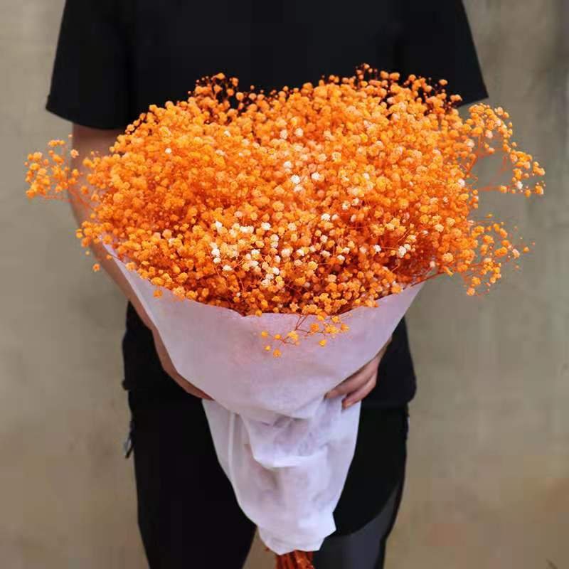 Wholesale baby's breath preservation lasting true touch gypsophila wedding decoration