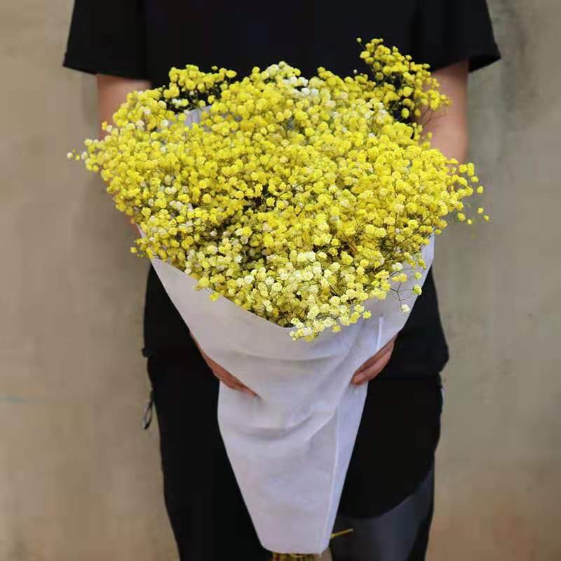 Wholesale baby's breath preservation lasting true touch gypsophila wedding decoration