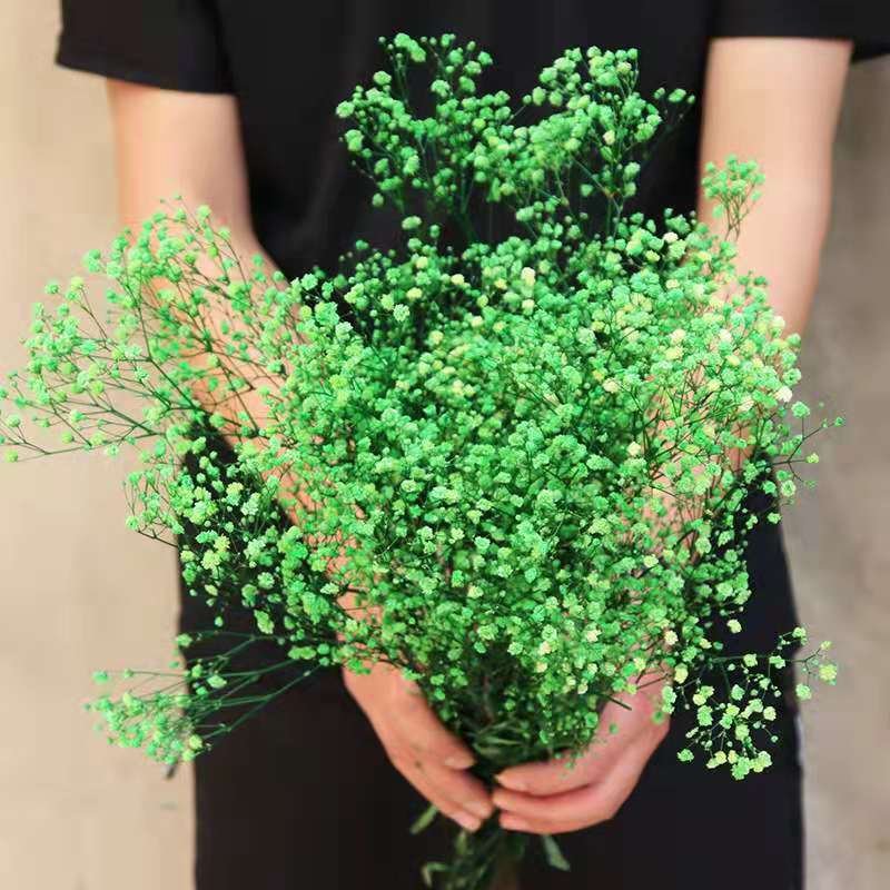 Wholesale baby's breath preservation lasting true touch gypsophila wedding decoration