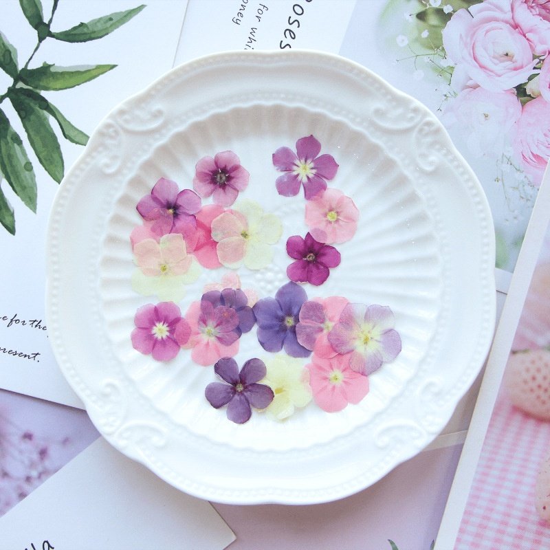 MNR1983 Real Dried Pressed Flowers Leaves Petals for Art Floral Decors Nail Pendant Crafts