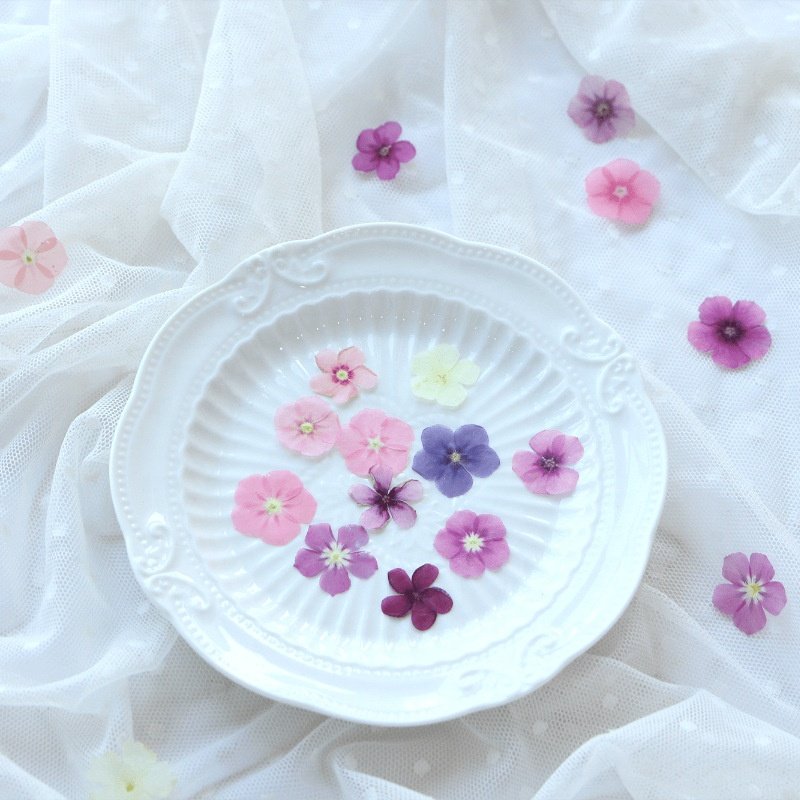 MNR1983 Real Dried Pressed Flowers Leaves Petals for Art Floral Decors Nail Pendant Crafts