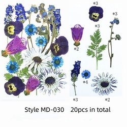 MD-030