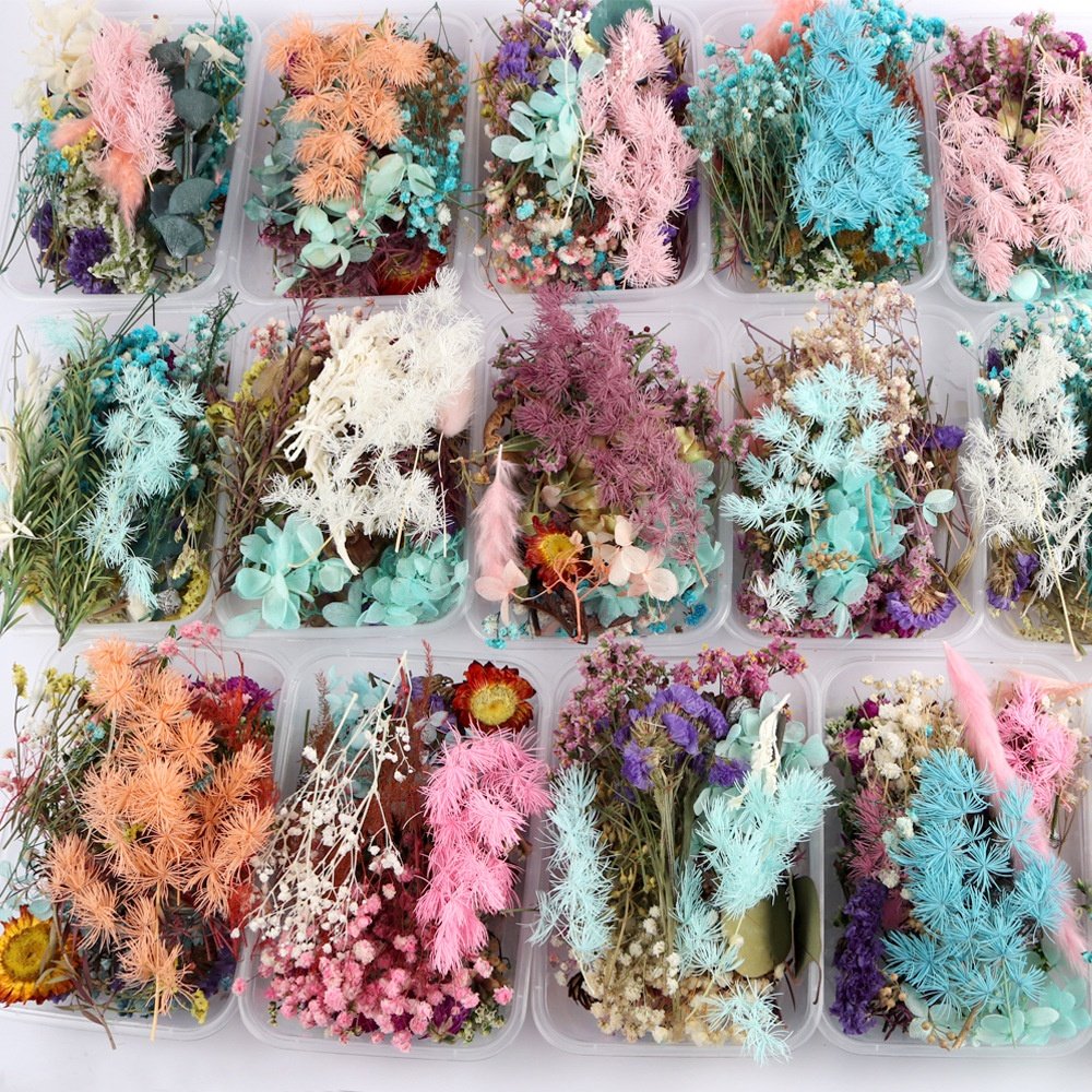 MF-L63 Mix Style Diy Real Natural Dry Preserved Flower Material Package Mix Dried Preserved Flowers For Diy Dried Flower Bouquet