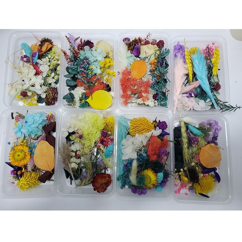 MF-L63 Mix Style Diy Real Natural Dry Preserved Flower Material Package Mix Dried Preserved Flowers For Diy Dried Flower Bouquet