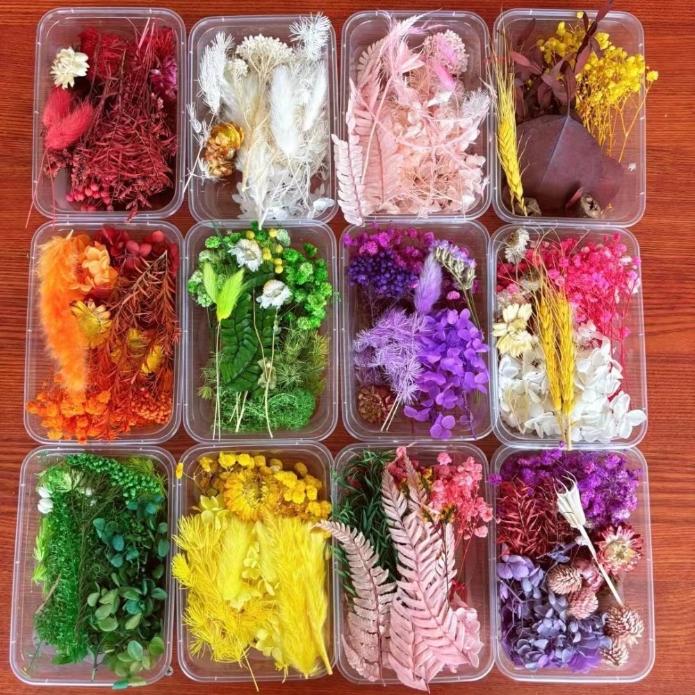 Discount DIY Materials Dried Flower Mixed Customize OPP Bag Easter Decoration Wedding Party Home Store Decoration 100 Boxes