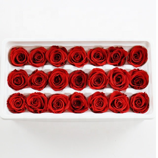 Wholesale Small Preserved Real Touch Roses Eternal Dried Flowers for Wedding & Graduation Decoration for Valentine's Day
