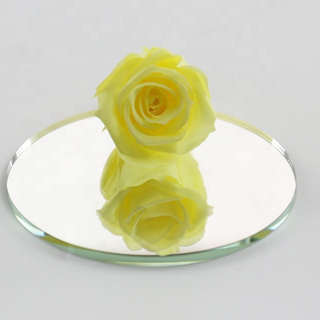 Wholesale Small Preserved Real Touch Roses Eternal Dried Flowers for Wedding & Graduation Decoration for Valentine's Day