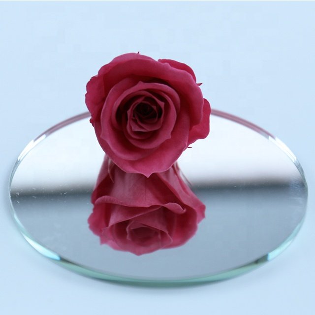 Wholesale Small Preserved Real Touch Roses Eternal Dried Flowers for Wedding & Graduation Decoration for Valentine's Day