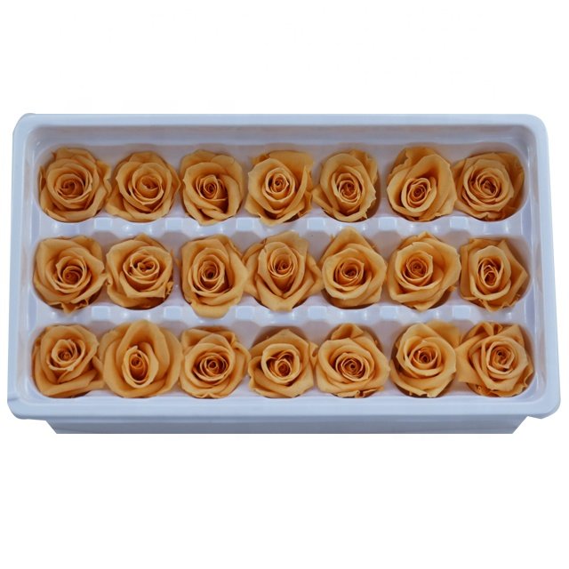 Wholesale Small Preserved Real Touch Roses Eternal Dried Flowers for Wedding & Graduation Decoration for Valentine's Day