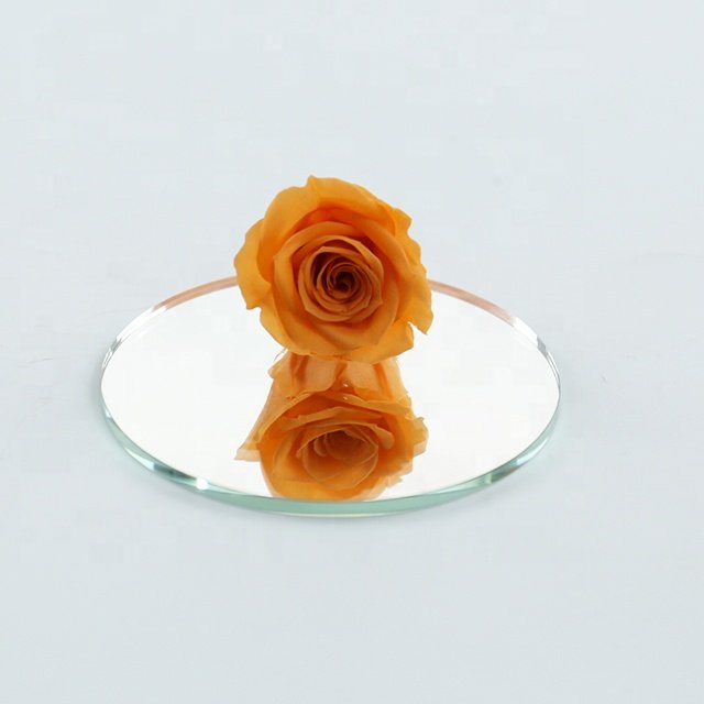 Wholesale Small Preserved Real Touch Roses Eternal Dried Flowers for Wedding & Graduation Decoration for Valentine's Day