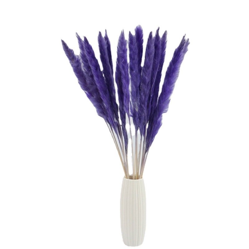 Good Price Boho Natural Bouquet Pampas Grass Reeds Dried Decorative Pampas Blue Pink Mini White Grass Pampas