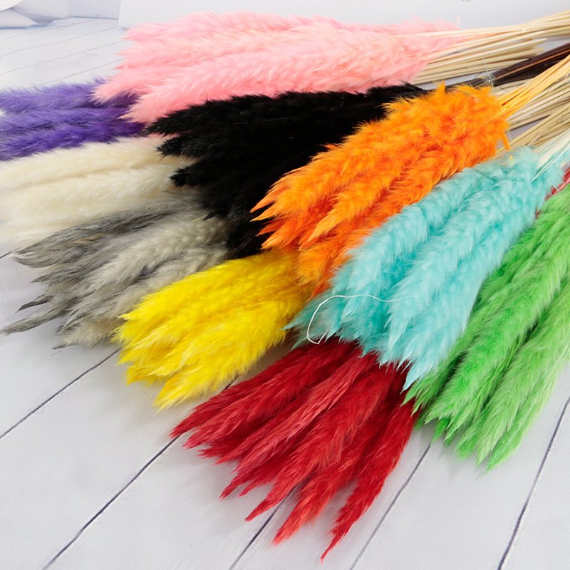 Good Price Boho Natural Bouquet Pampas Grass Reeds Dried Decorative Pampas Blue Pink Mini White Grass Pampas