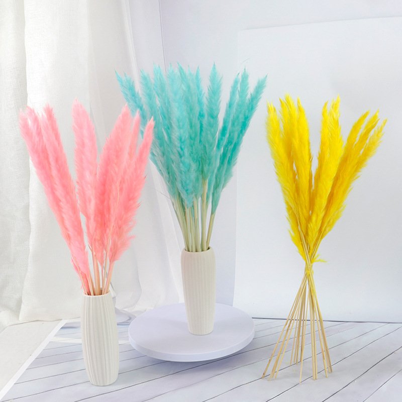 Good Price Boho Natural Bouquet Pampas Grass Reeds Dried Decorative Pampas Blue Pink Mini White Grass Pampas