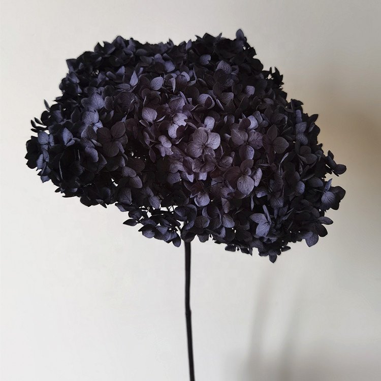 wholesale decoration flower dried hydrangea flowers pink color small leaves Anna preserved hydrangea with single long stem