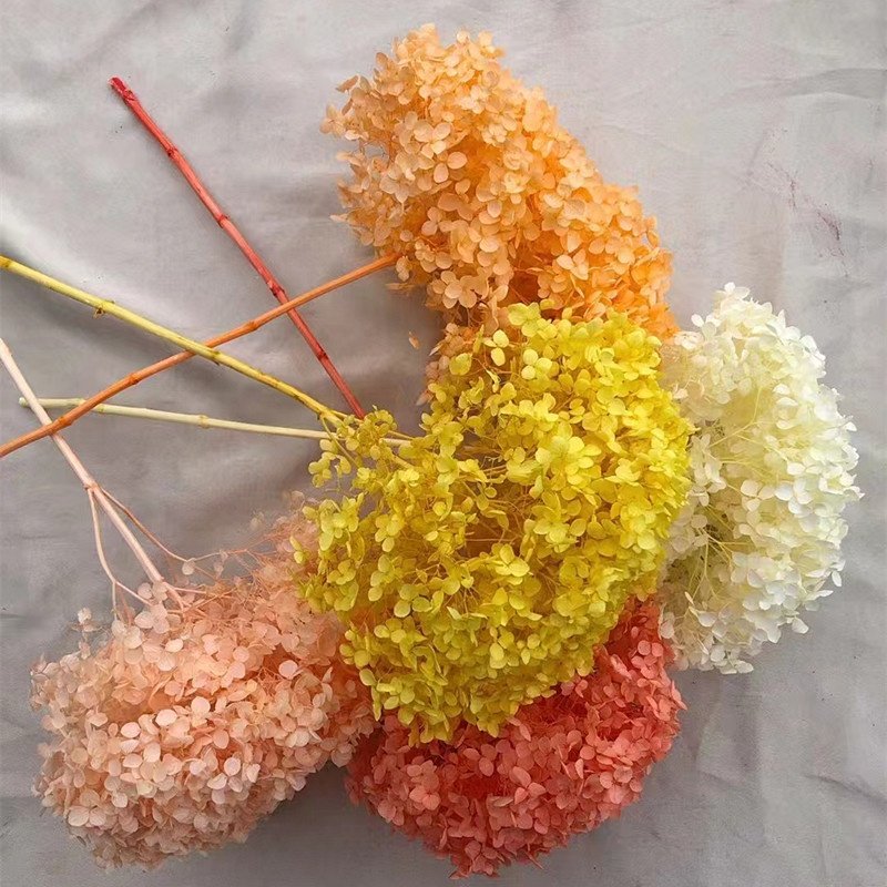 wholesale decoration flower dried hydrangea flowers pink color small leaves Anna preserved hydrangea with single long stem