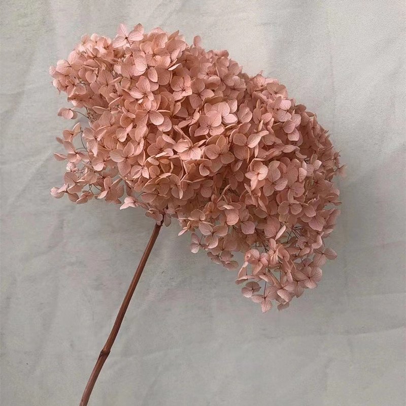 wholesale decoration flower dried hydrangea flowers pink color small leaves Anna preserved hydrangea with single long stem
