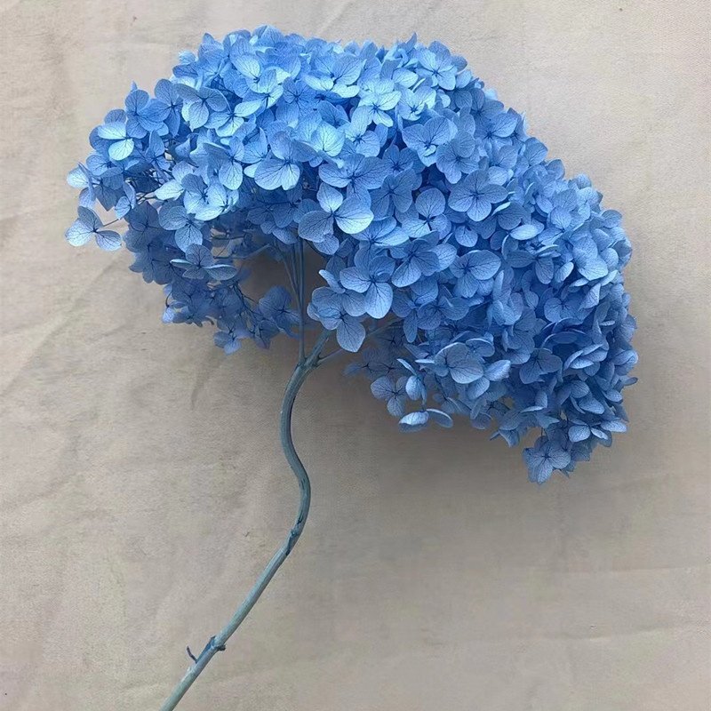 wholesale decoration flower dried hydrangea flowers pink color small leaves Anna preserved hydrangea with single long stem