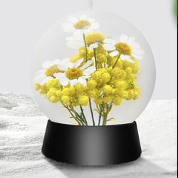 Chamomile