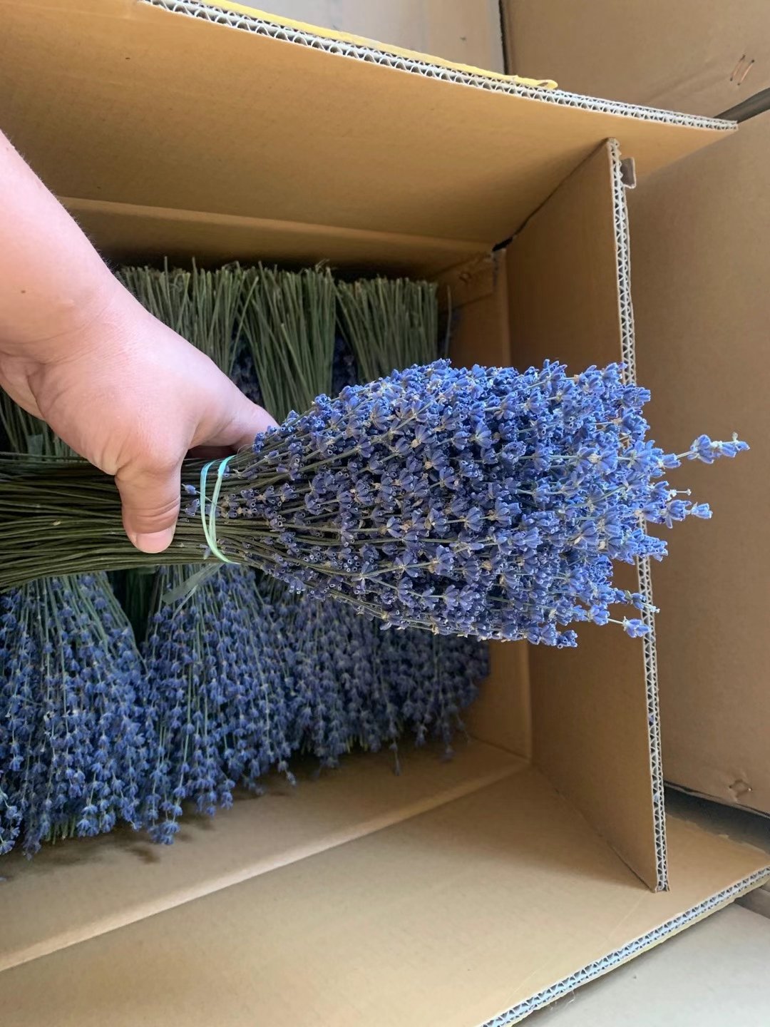 Wholesale Customized real natural 85g bunch Dried Lavender Flower Bouquet for interior decoration Boho dried lavender flowers