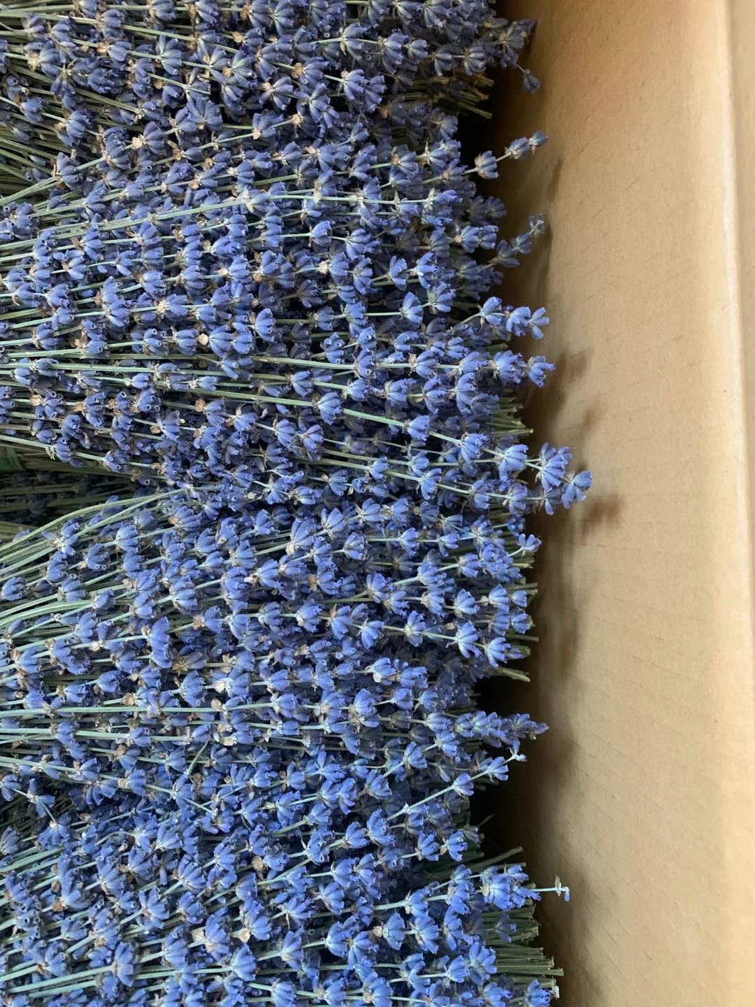 Wholesale Customized real natural 85g bunch Dried Lavender Flower Bouquet for interior decoration Boho dried lavender flowers