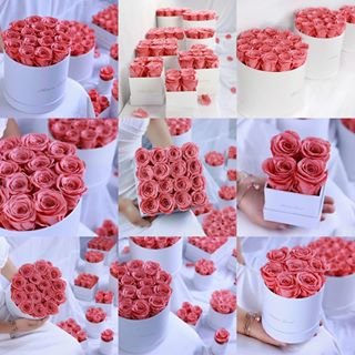 Wholesale Dried Red Real Long Life Preserved Flower Preservation Immortal Everlasting Roses