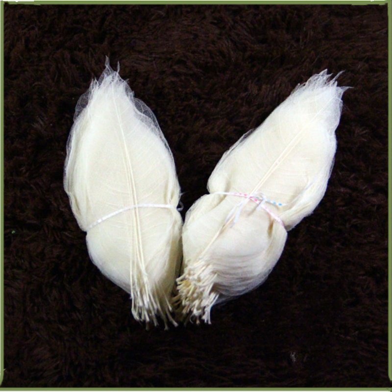 New Card Craft 100PCS Per Bag Natural Magnolia Skeleton Leaf Pressed Flowers Resin Dry Rubber Skeleton Leaves For DIY Decoration
