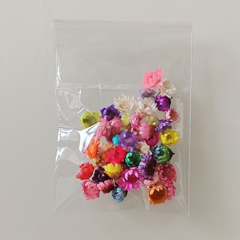 hotsale DIY flower dry Brazil little star flower natural tiny dried flowers for Epoxy resin art nail soap scented Candle making