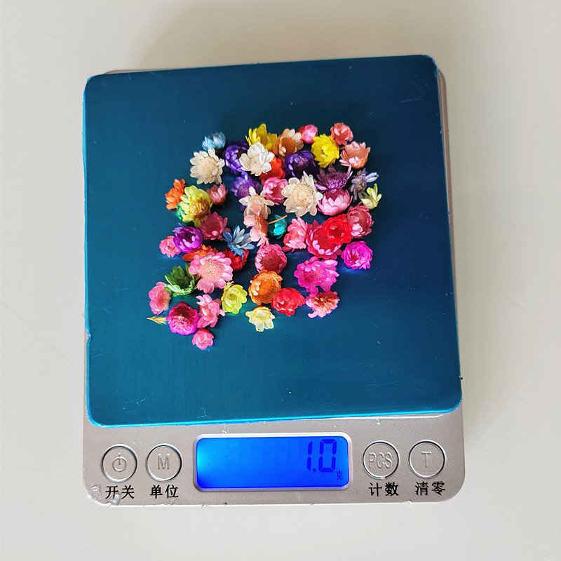 hotsale DIY flower dry Brazil little star flower natural tiny dried flowers for Epoxy resin art nail soap scented Candle making