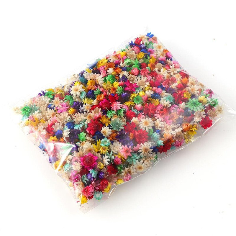 hotsale DIY flower dry Brazil little star flower natural tiny dried flowers for Epoxy resin art nail soap scented Candle making