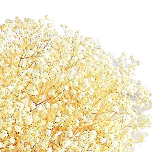 Dried Flowers Babys Breath Bouquet Wedding Decoration Gypsophila Starry Flowers
