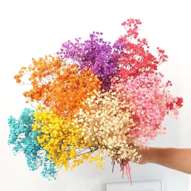 Dried Flowers Babys Breath Bouquet Wedding Decoration Gypsophila Starry Flowers