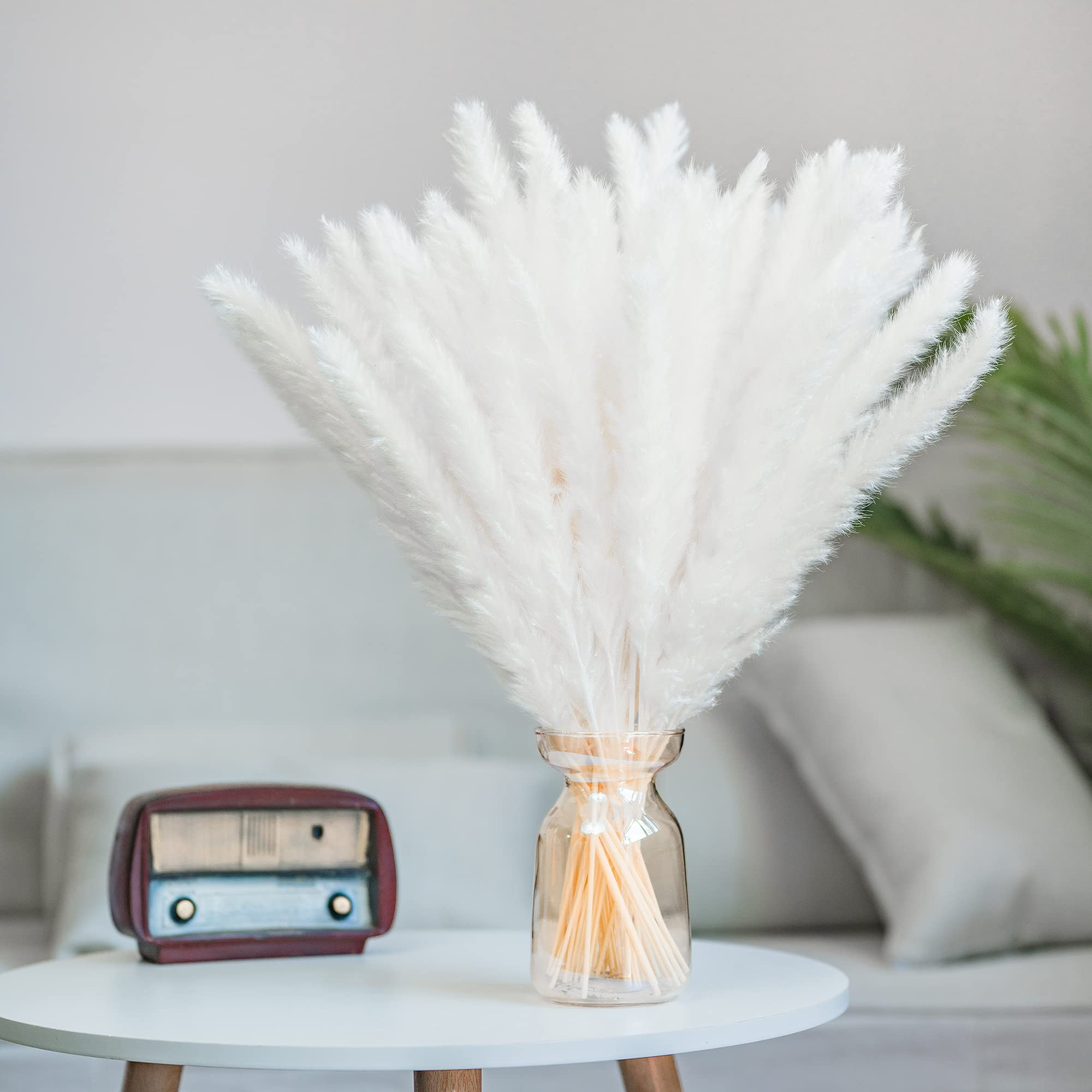 Hot Selling Ins Custom Size White Mini Pampas Grass Small Dried Flower Reeds for Home Decor for Graduation Valentine's Day Gifts