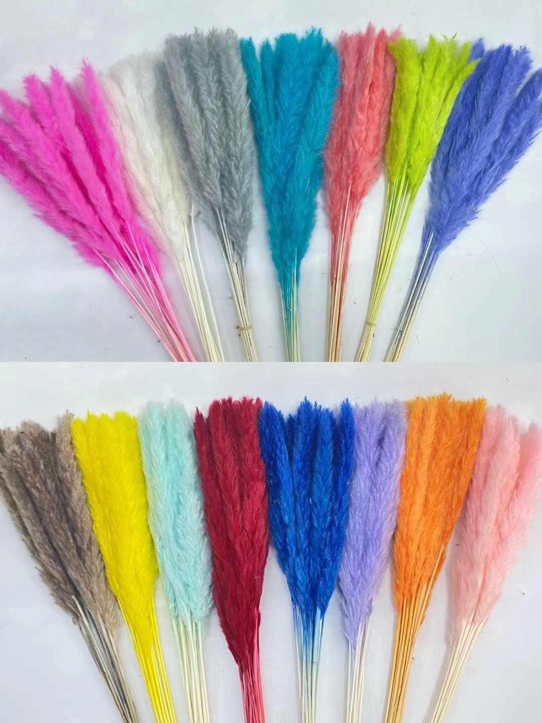 Hot Selling Ins Custom Size White Mini Pampas Grass Small Dried Flower Reeds for Home Decor for Graduation Valentine's Day Gifts