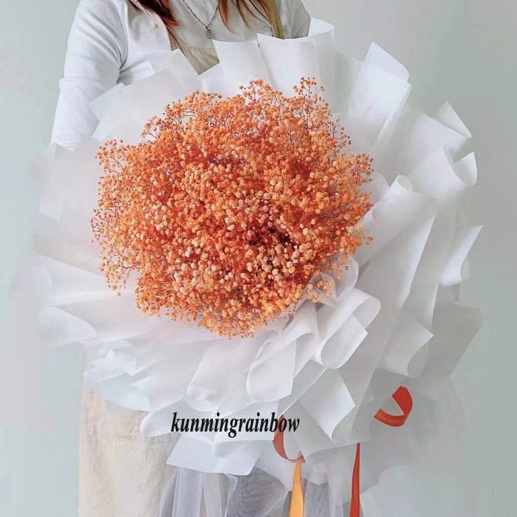 White babys breath preserved flower long life gypsophila preserved babysbreath star small flower dried flowers