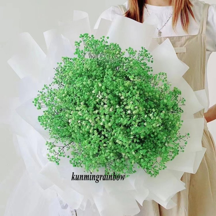 White babys breath preserved flower long life gypsophila preserved babysbreath star small flower dried flowers