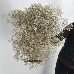 offwhite