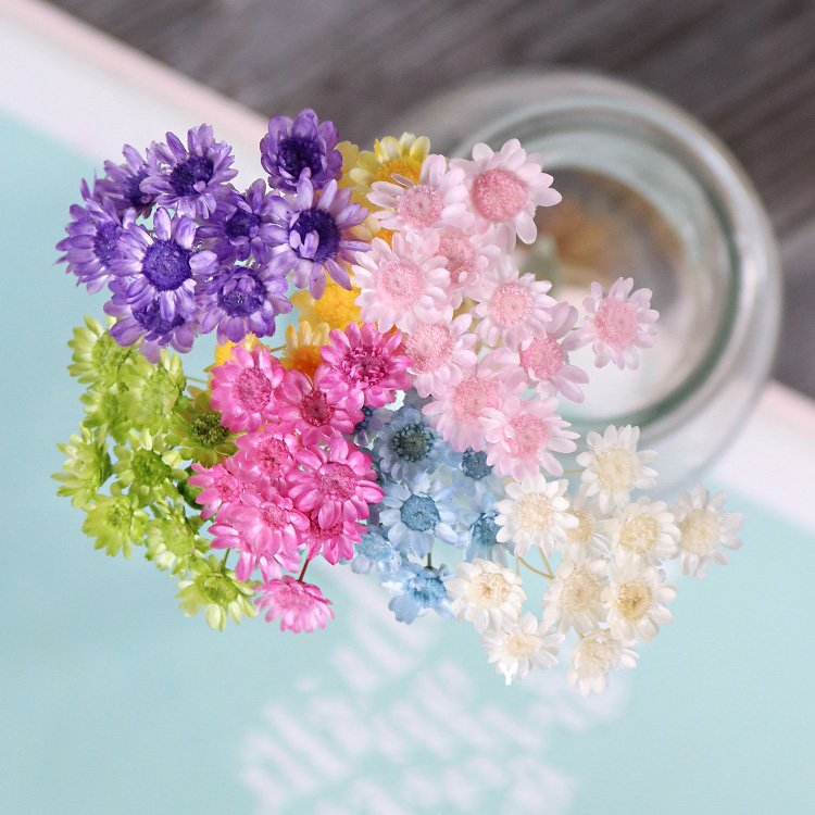 Daisy Decorative Dried Flowers 50 Stems Natural Dry Flowers Brazilian Small Star For Wedding Decoration