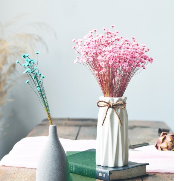 Daisy Decorative Dried Flowers 50 Stems Natural Dry Flowers Brazilian Small Star For Wedding Decoration