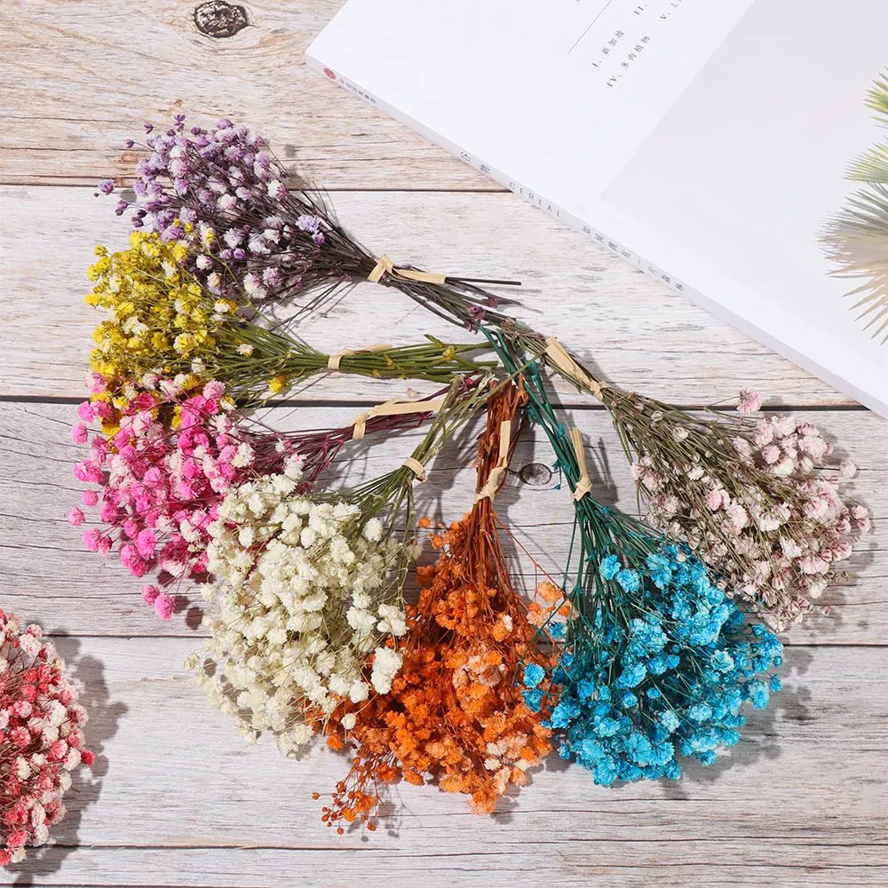 Colorful Small Natural Fresh Dried Flowers Bouquet Mini Baby's Breath for Photography Photo Backdrop Home Decor