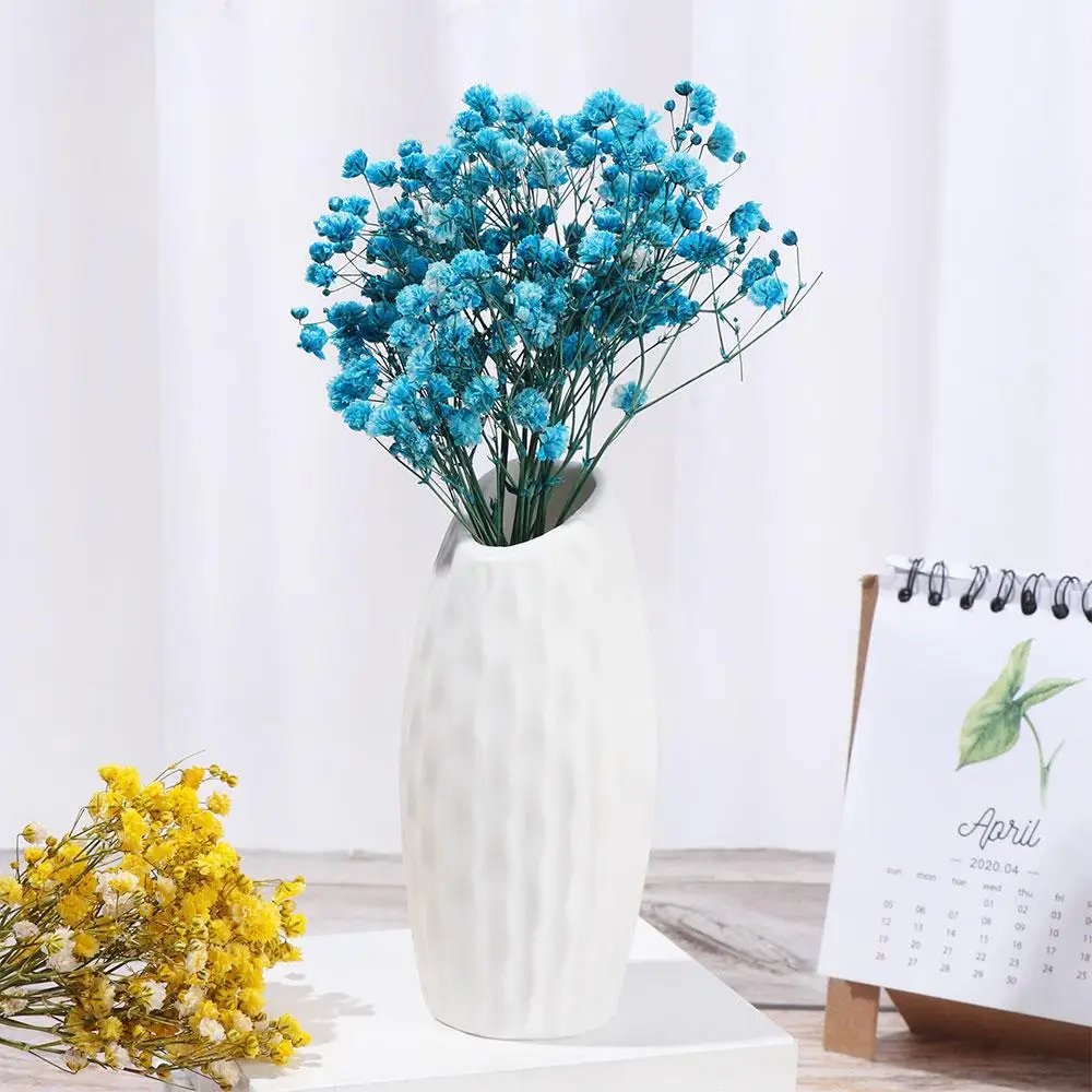 Colorful Small Natural Fresh Dried Flowers Bouquet Mini Baby's Breath for Photography Photo Backdrop Home Decor