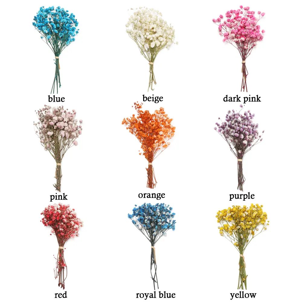 Colorful Small Natural Fresh Dried Flowers Bouquet Mini Baby's Breath for Photography Photo Backdrop Home Decor