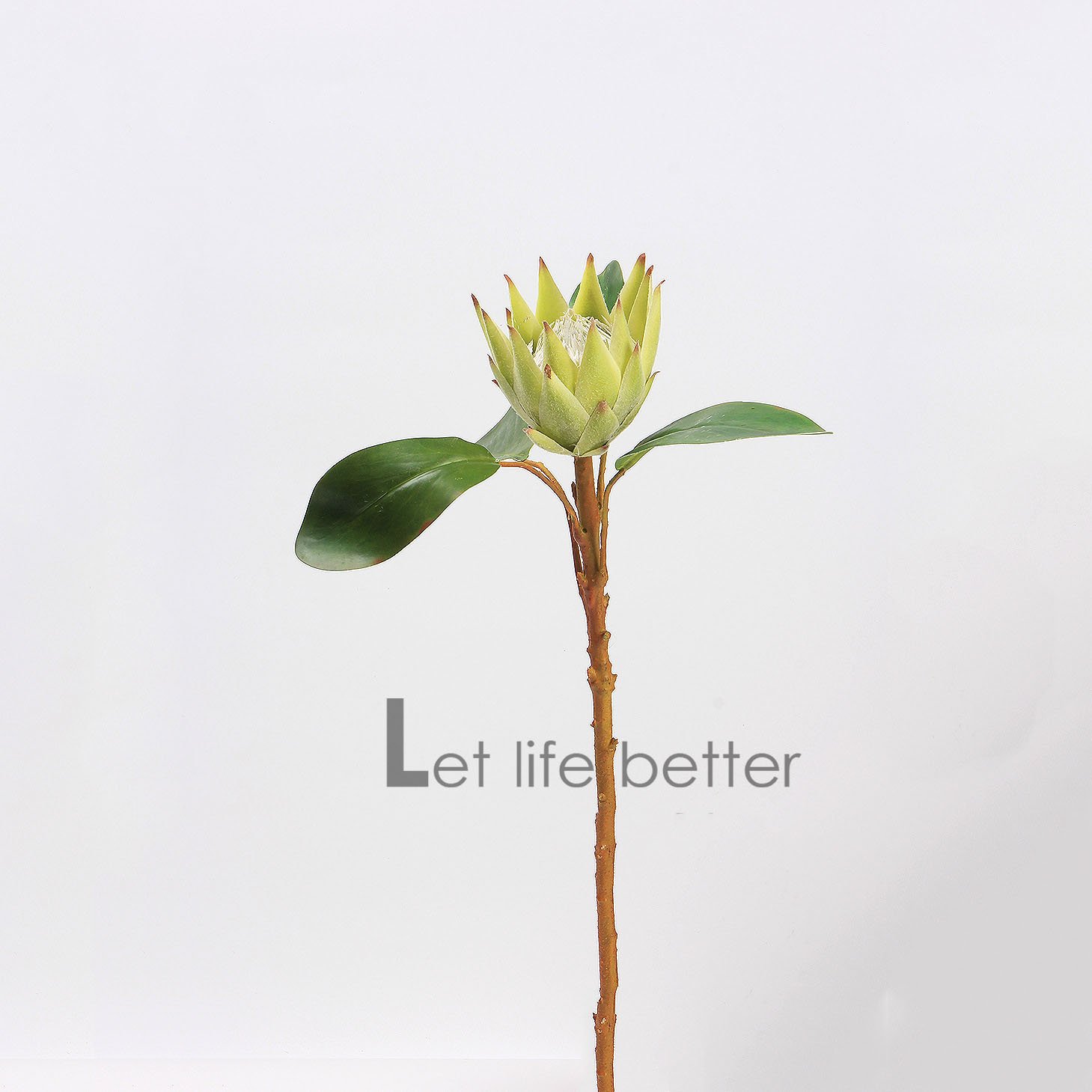 AR-1105 Artificial Crown Small Emperor Flower Tropical Flocking Needle Cushion Flower For Template Decorative