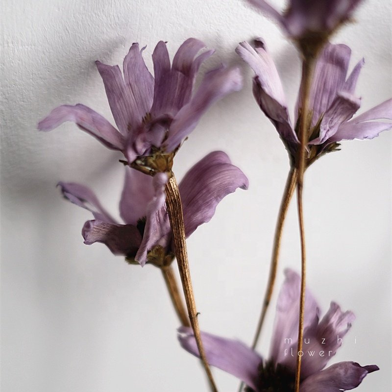 high quality handmade dried flowers bulk home decoration artificial wholesale single stem flower