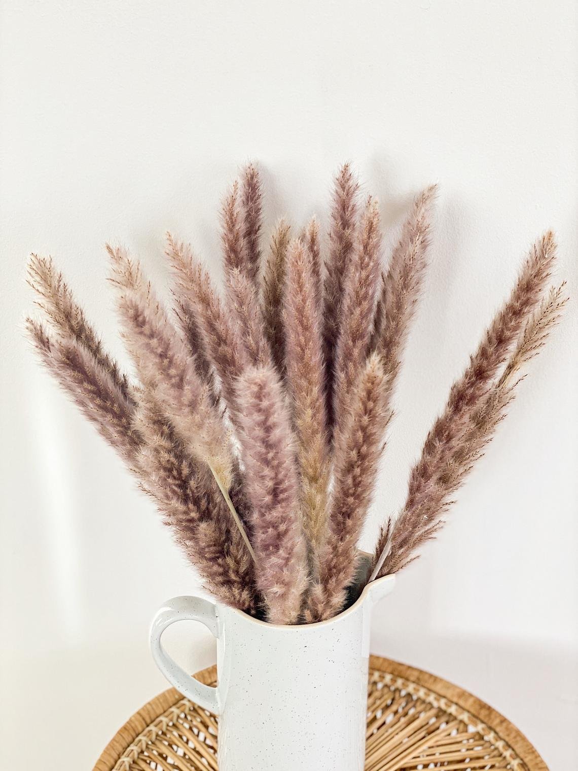 Small Pampas Wholesale Home Indoor Decoration Wedding Flowers Pampas Grass